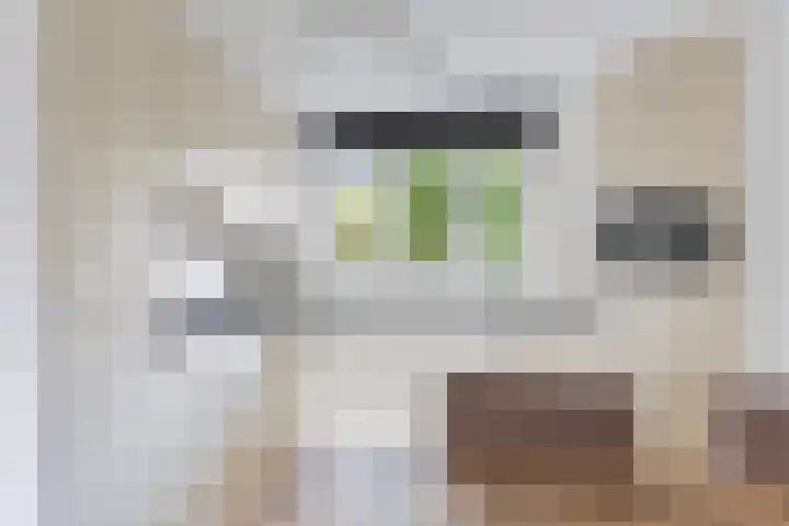 Lepelaar 91 Meppel thumbnail 10