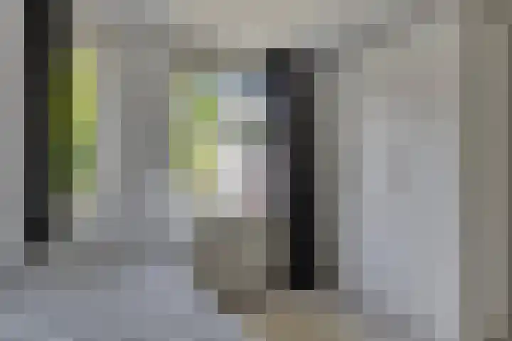 Lepelaar 91 Meppel thumbnail 13