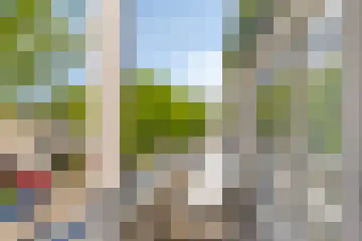 Lepelaar 91 Meppel thumbnail 20