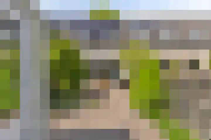 Lepelaar 91 Meppel thumbnail 23