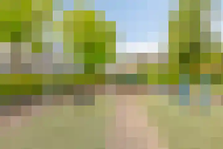 Lepelaar 91 Meppel thumbnail 29