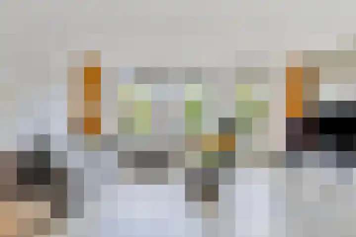 Lepelaar 91 Meppel thumbnail 6