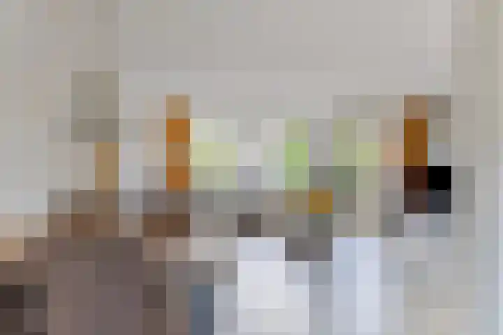 Lepelaar 91 Meppel thumbnail 7