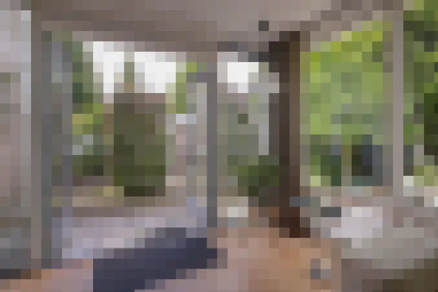 Lepelaarpark 47 Purmerend thumbnail 12