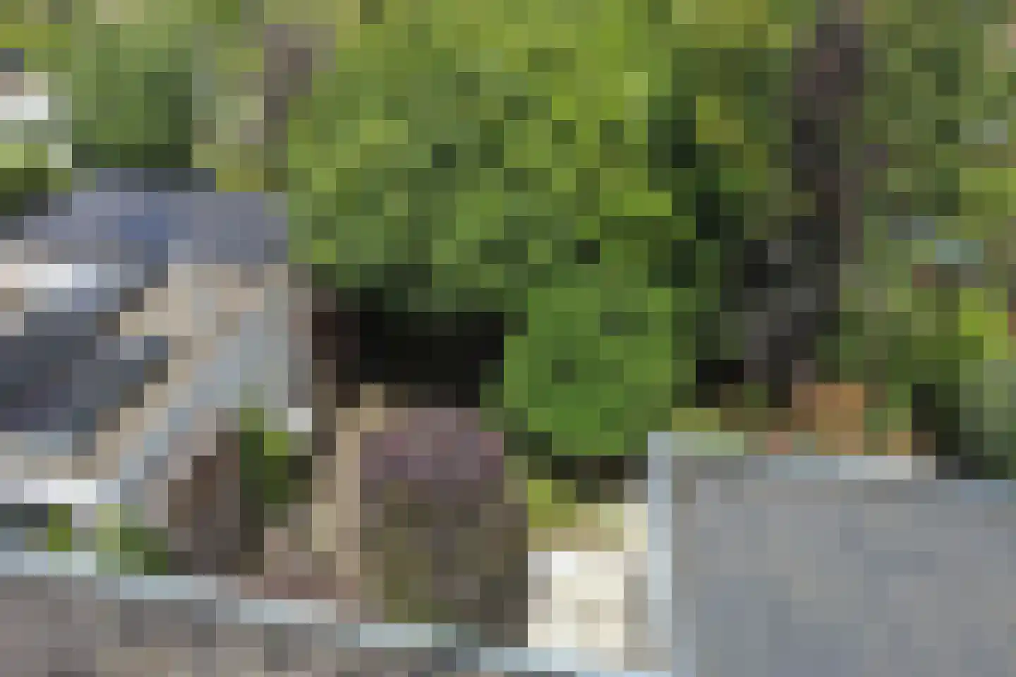 Lepelaarpark 47 Purmerend thumbnail 54
