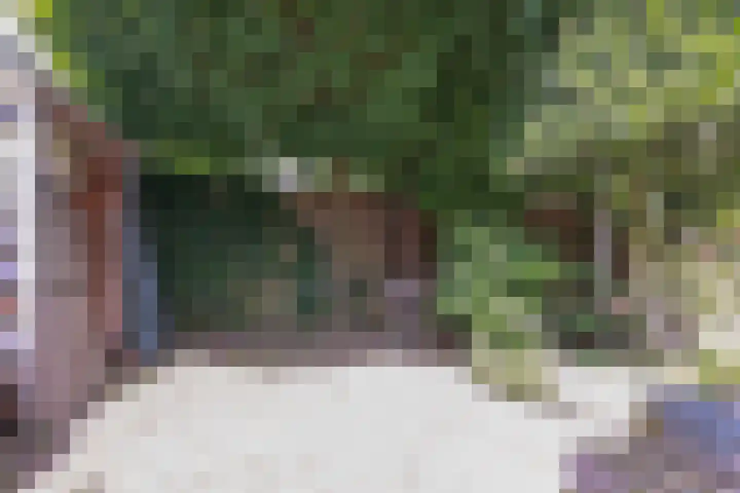 Lepelaarpark 47 Purmerend thumbnail 59