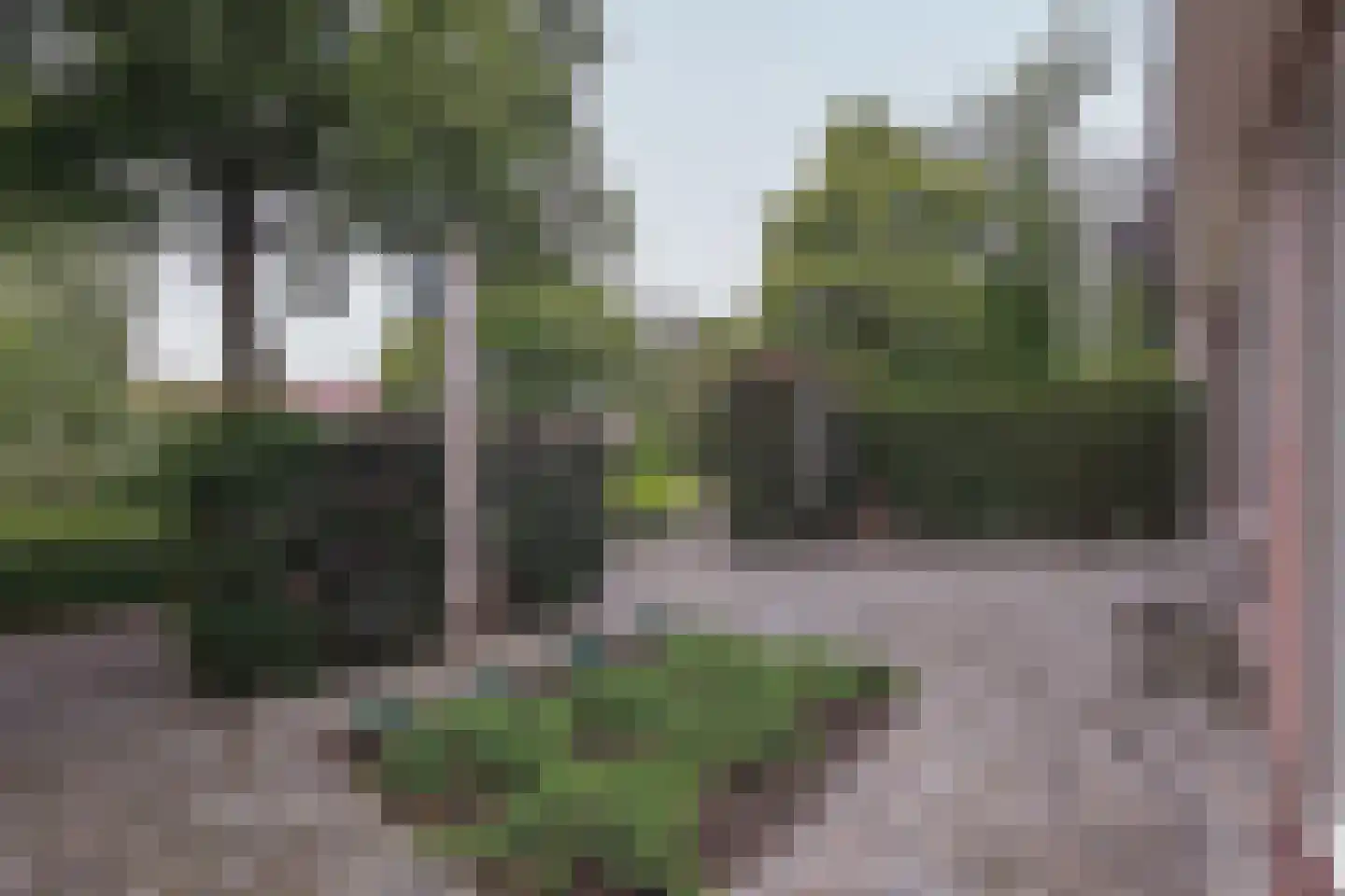 Lepelaarpark 47 Purmerend thumbnail 74