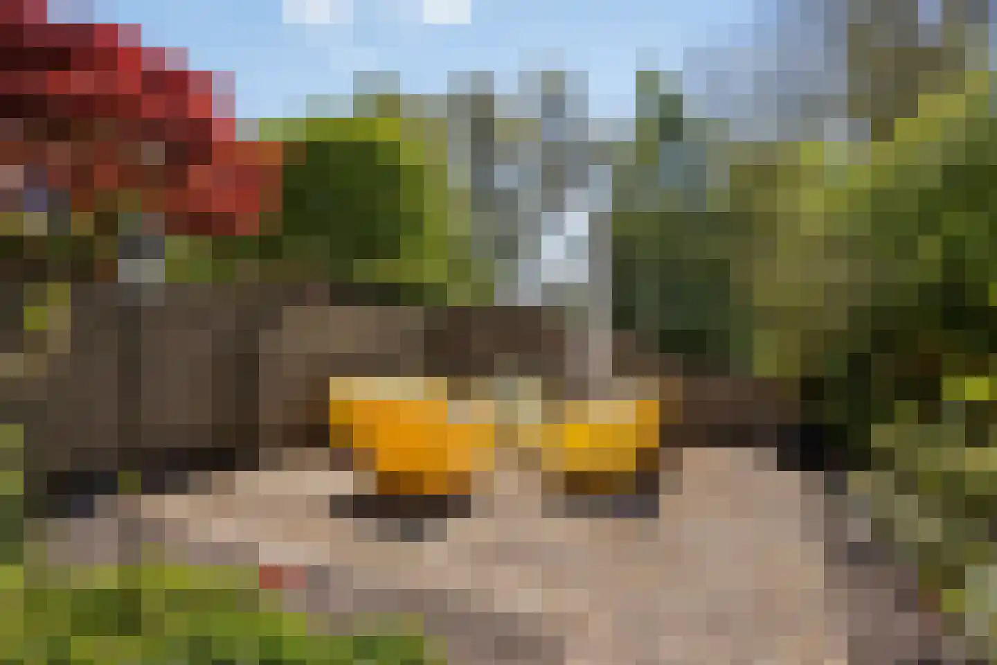 Lepelaarpark 54 Purmerend thumbnail 68