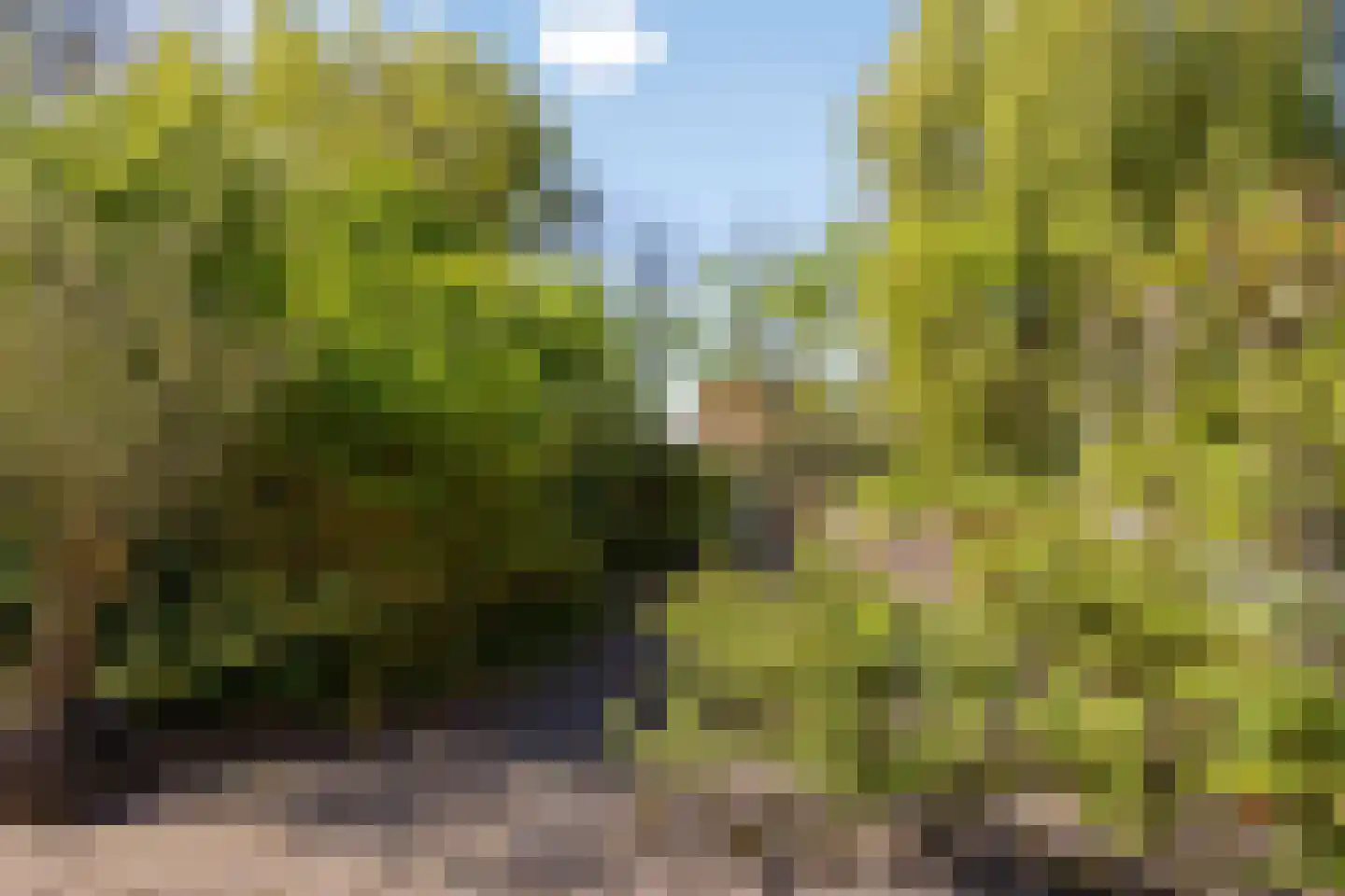 Lepelaarpark 54 Purmerend thumbnail 69