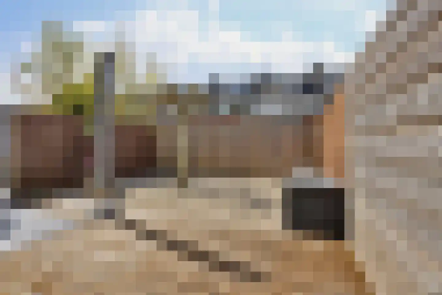 Lepelaarplantsoen 95 Maassluis thumbnail 33
