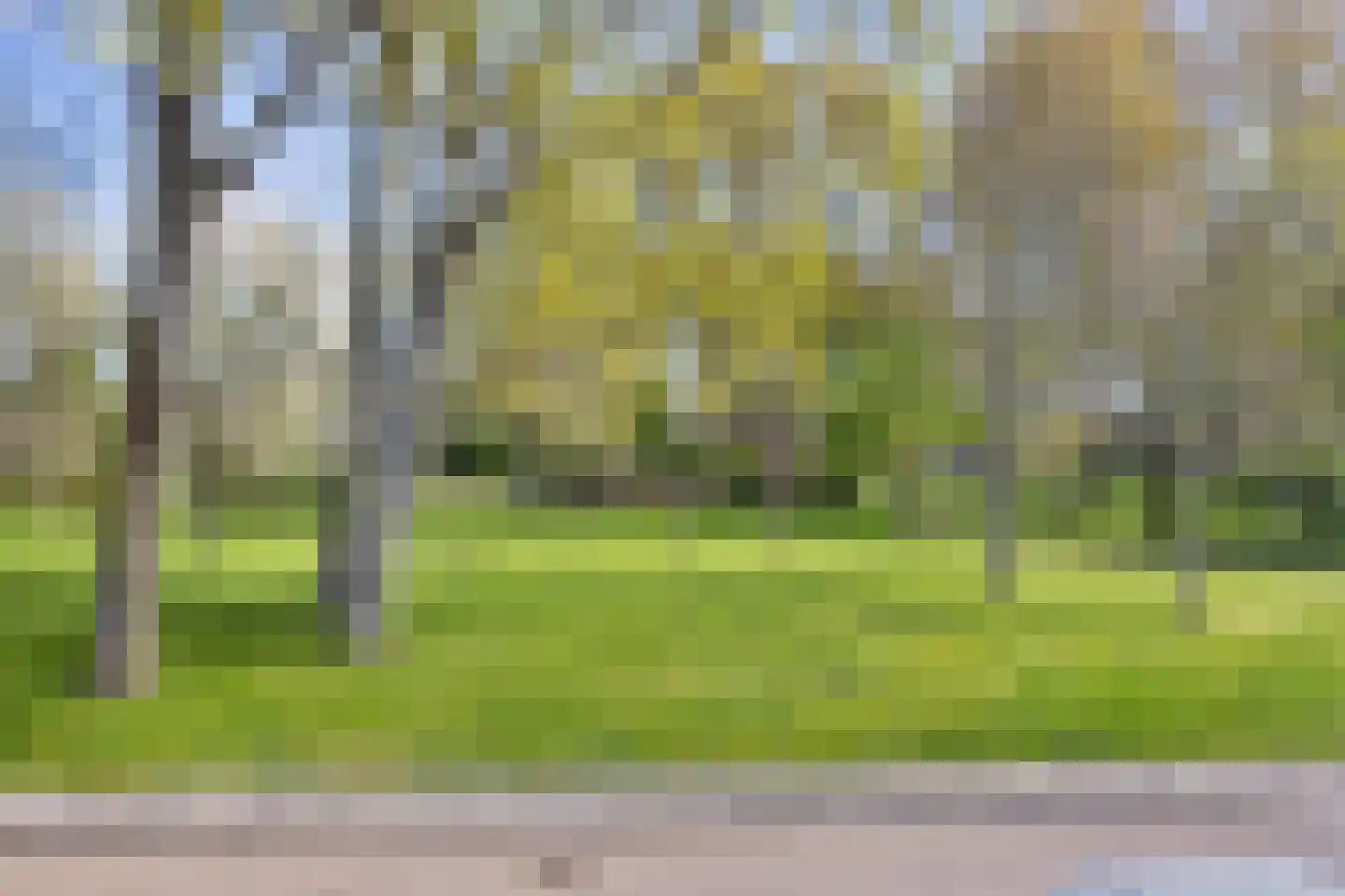 Lepelaarplantsoen 95 Maassluis thumbnail 43
