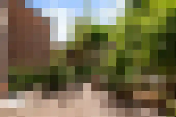Lepelaarshof 21 Nijkerk thumbnail 10