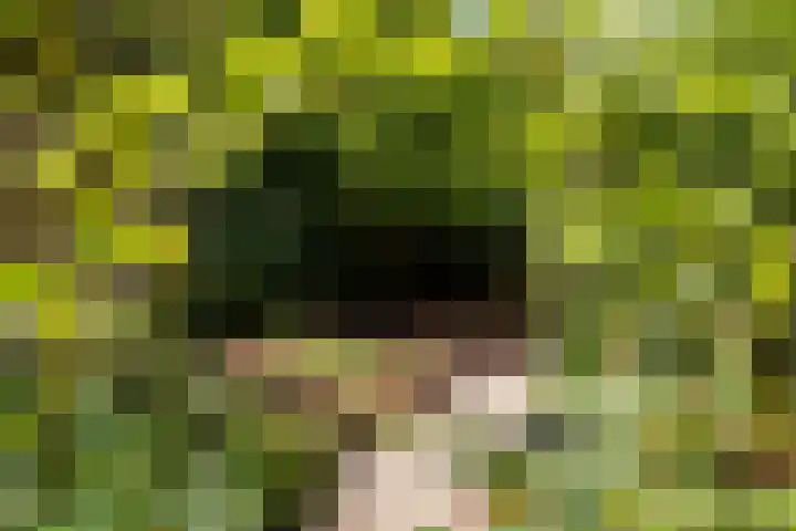 Lepelaarshof 21 Nijkerk thumbnail 11