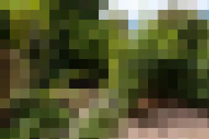 Lepelaarshof 21 Nijkerk thumbnail 13