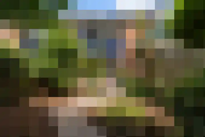 Lepelaarshof 21 Nijkerk thumbnail 14