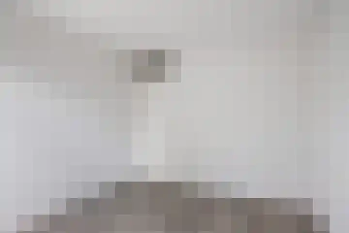Lepelaarshof 21 Nijkerk thumbnail 26