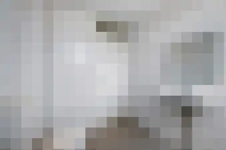 Lepelaarshof 21 Nijkerk thumbnail 28