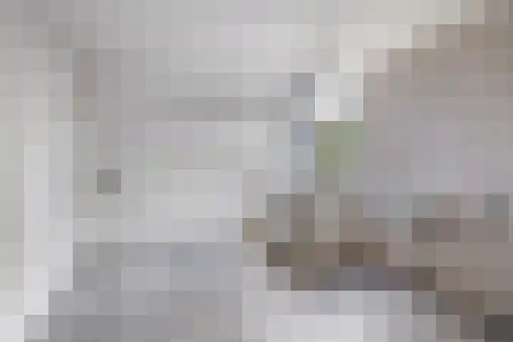Lepelaarshof 21 Nijkerk thumbnail 30