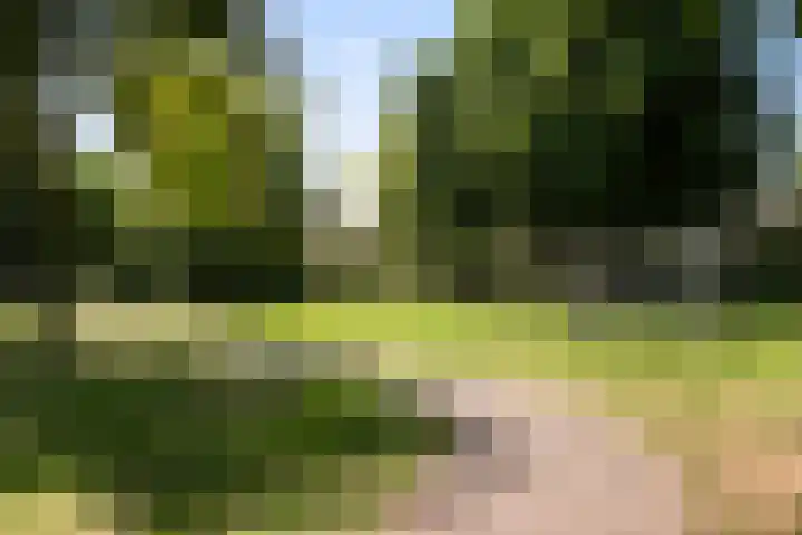 Lepelaarshof 21 Nijkerk thumbnail 36