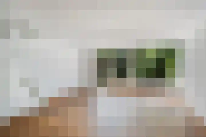 Lepelaarshof 21 Nijkerk thumbnail 9