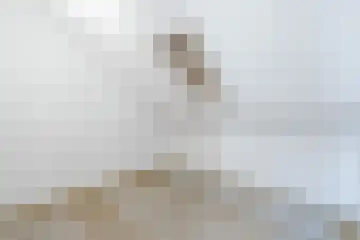 Lepelaarshof 24 Nijkerk thumbnail 25