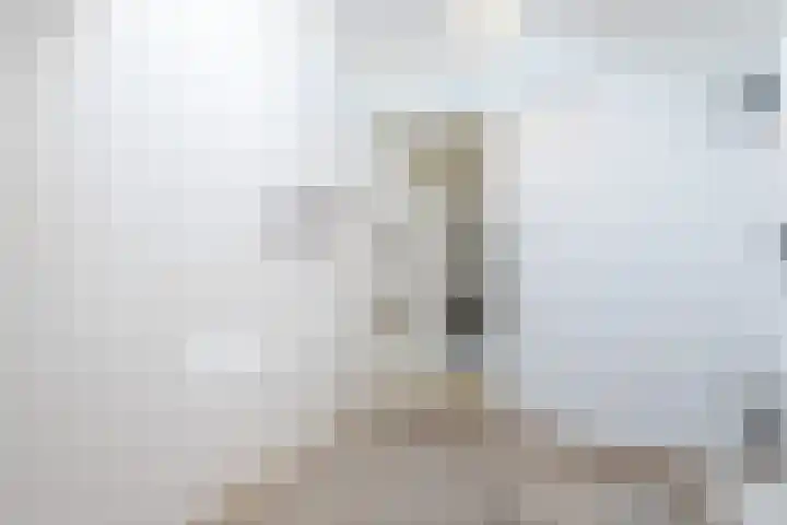 Lepelaarshof 24 Nijkerk thumbnail 28