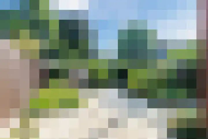 Lepelaarshof 24 Nijkerk thumbnail 30