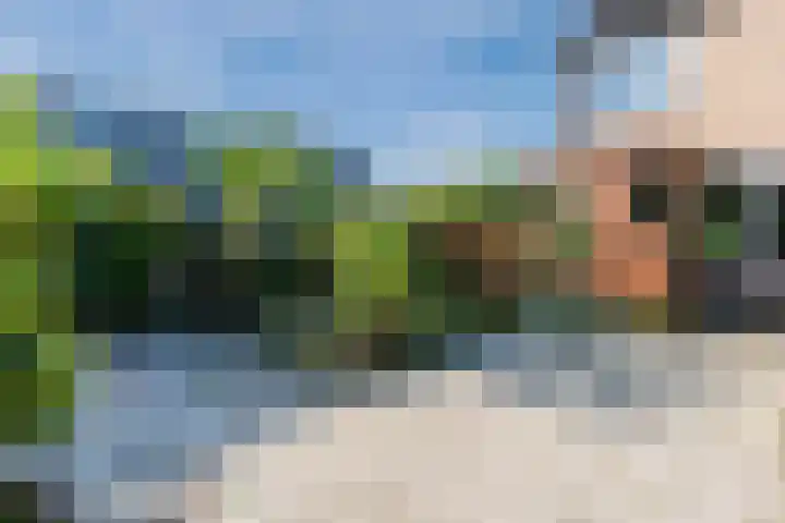 Lepelaarshof 24 Nijkerk thumbnail 31