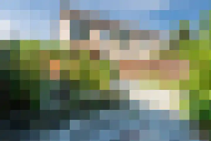 Lepelaarshof 24 Nijkerk thumbnail 34