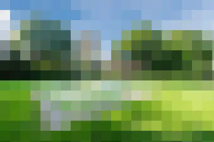 Lepelaarshof 24 Nijkerk thumbnail 36