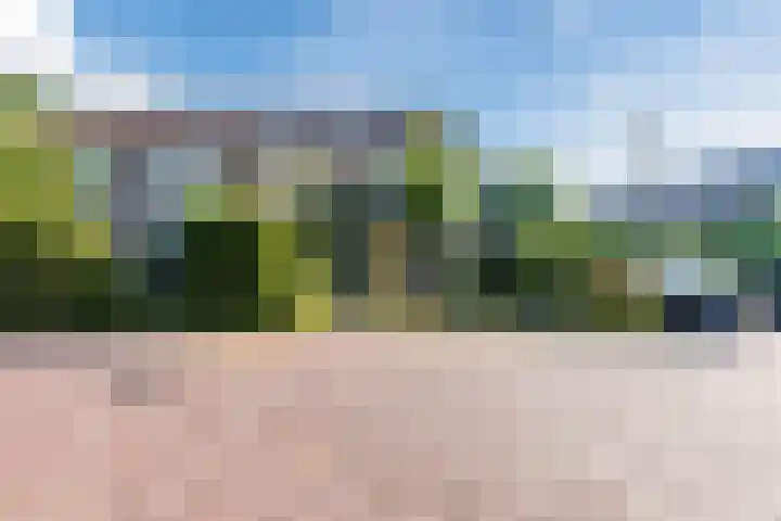 Lepelaarshof 24 Nijkerk thumbnail 43