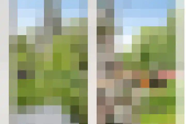 Lepelaarsingel 102 A Rotterdam thumbnail 17