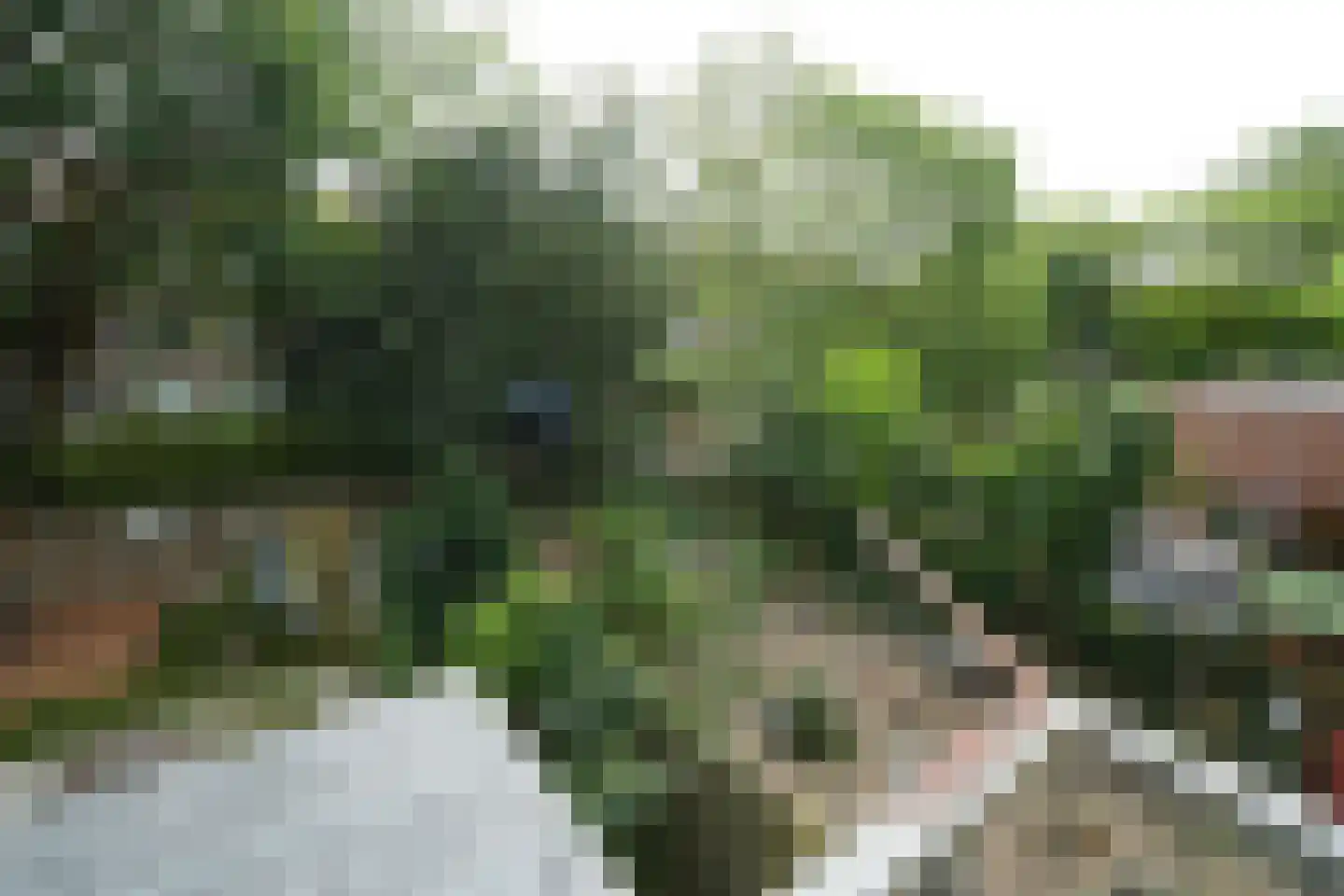 Lepelaarsingel 108 B Rotterdam thumbnail 22