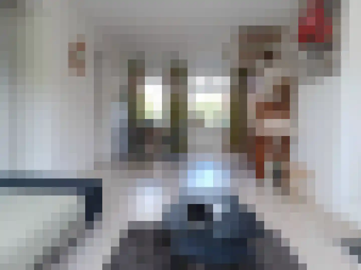 Lepelaarsingel 120 C Rotterdam thumbnail 7