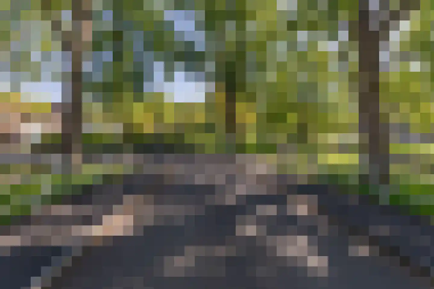 Lepelaarsingel 125 B Rotterdam thumbnail 24