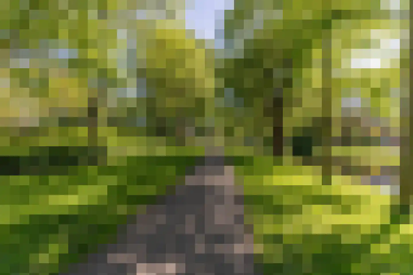 Lepelaarsingel 125 B Rotterdam thumbnail 28