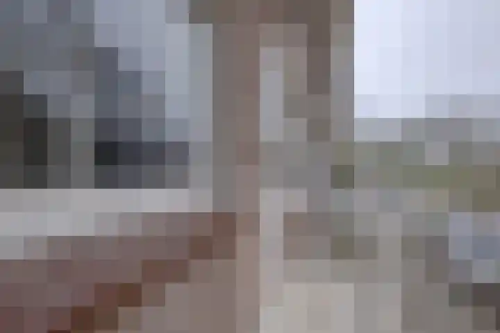 Lepelaarsingel 127 C Rotterdam thumbnail 10