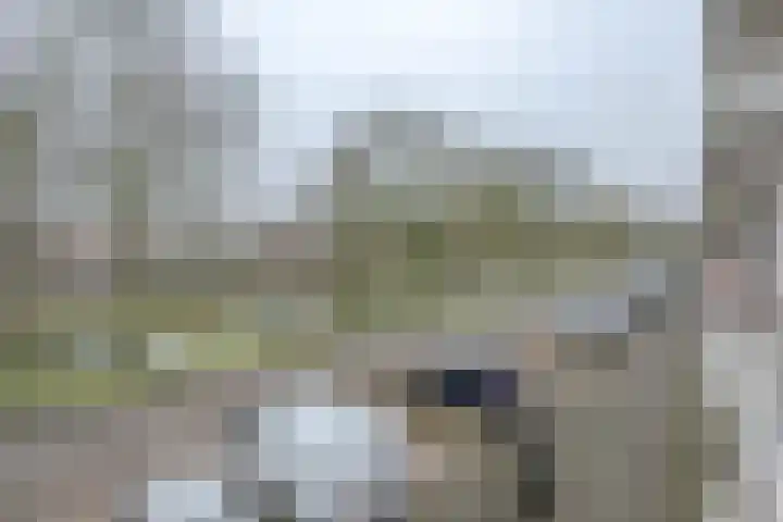 Lepelaarsingel 127 C Rotterdam thumbnail 12