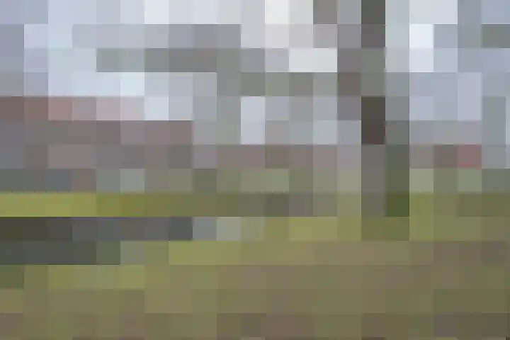 Lepelaarsingel 127 C Rotterdam thumbnail 20