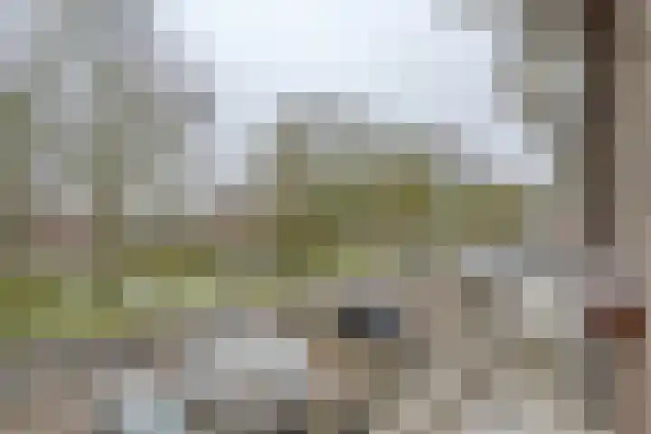 Lepelaarsingel 127 C Rotterdam thumbnail 5