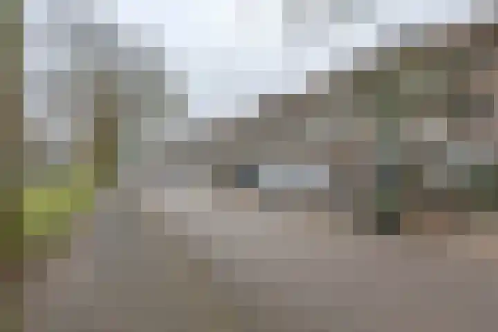 Lepelaarsingel 127 C Rotterdam thumbnail 6