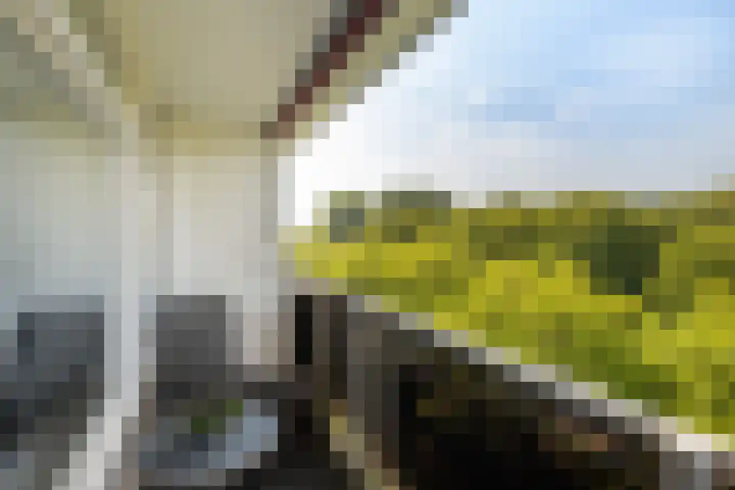 Lepelaarsingel 134 Vlaardingen thumbnail 5