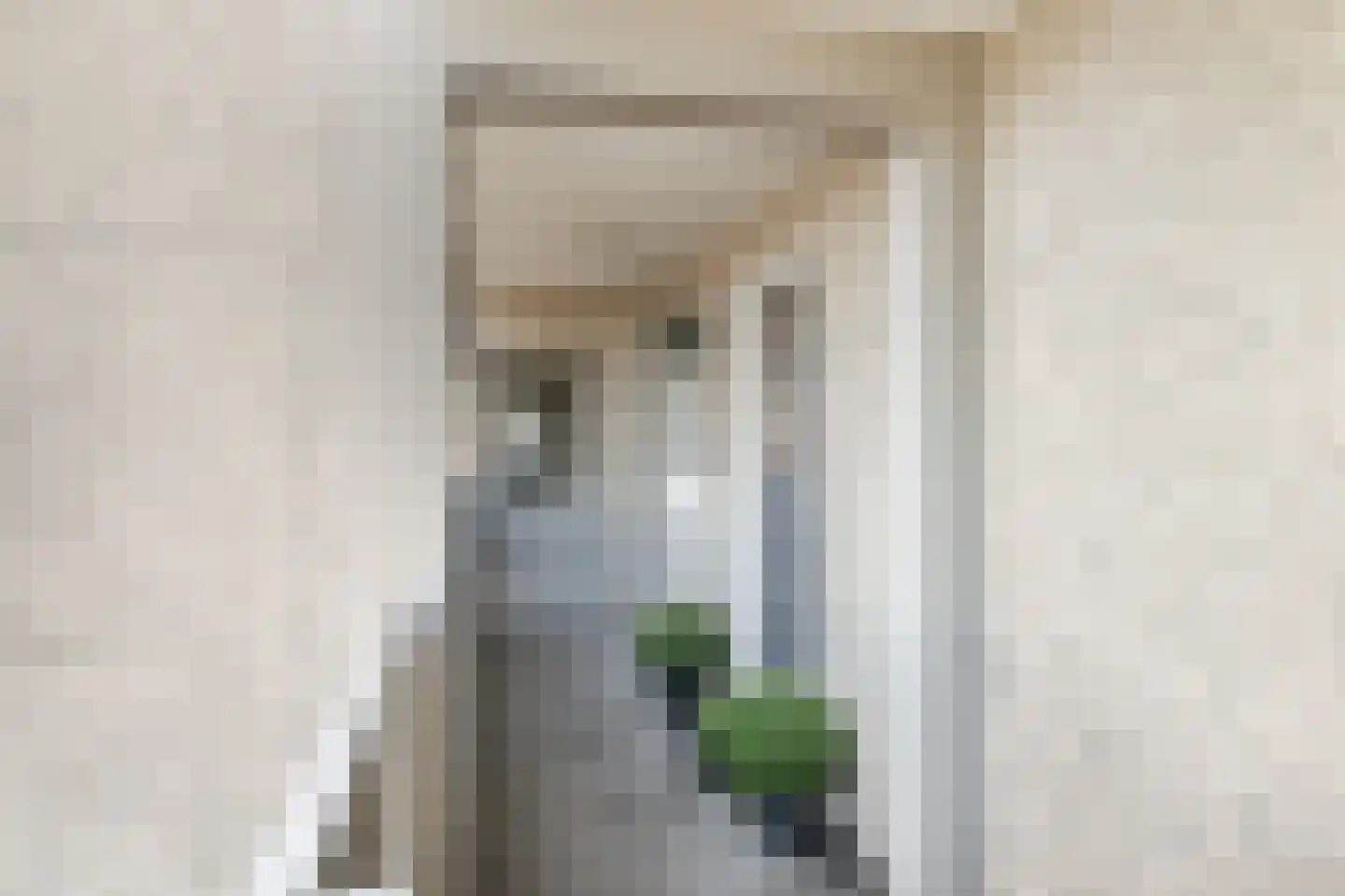 Lepelaarsingel 134 Vlaardingen thumbnail 7