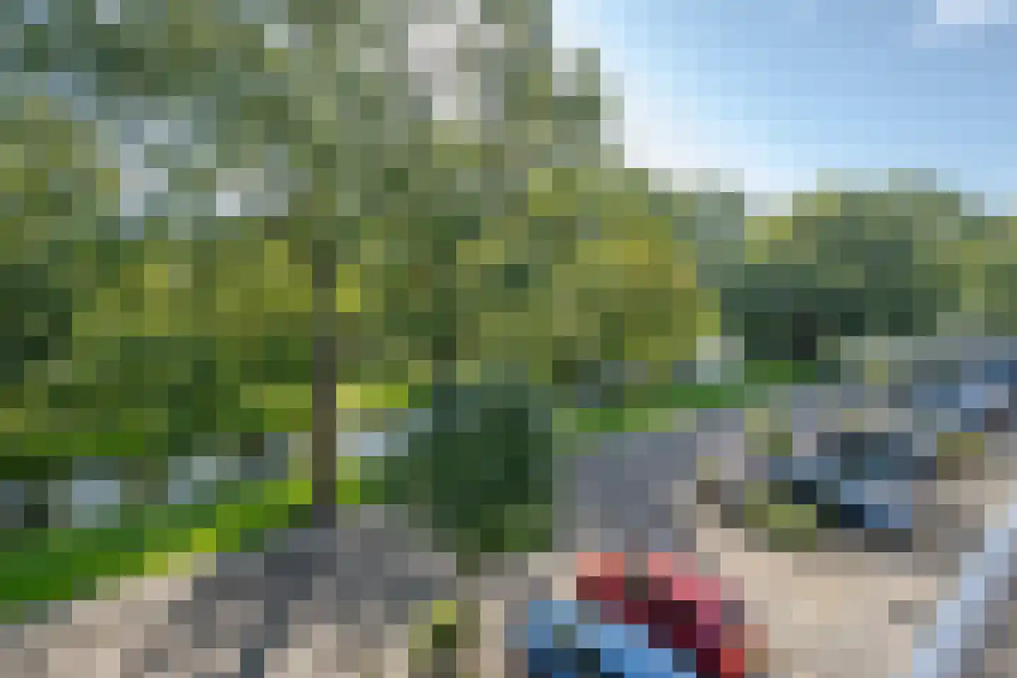Lepelaarsingel 141 C Rotterdam thumbnail 14