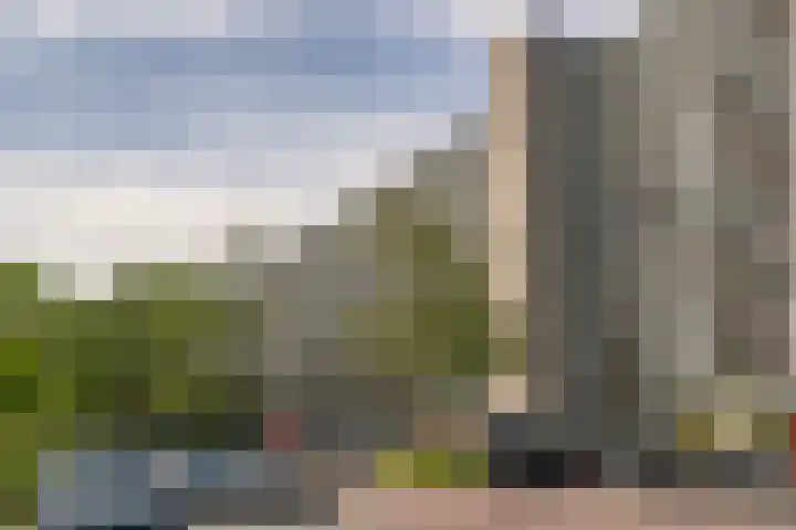 Lepelaarsingel 142 Vlaardingen thumbnail 10