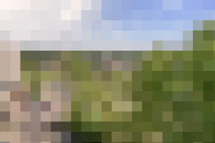 Lepelaarsingel 142 Vlaardingen thumbnail 12