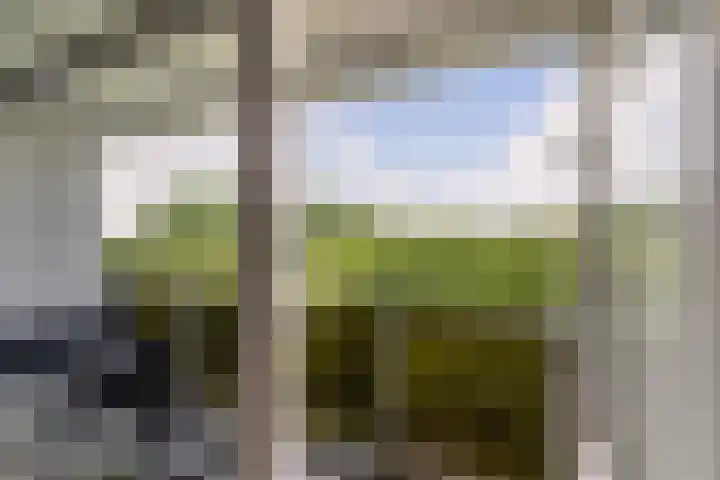 Lepelaarsingel 142 Vlaardingen thumbnail 23