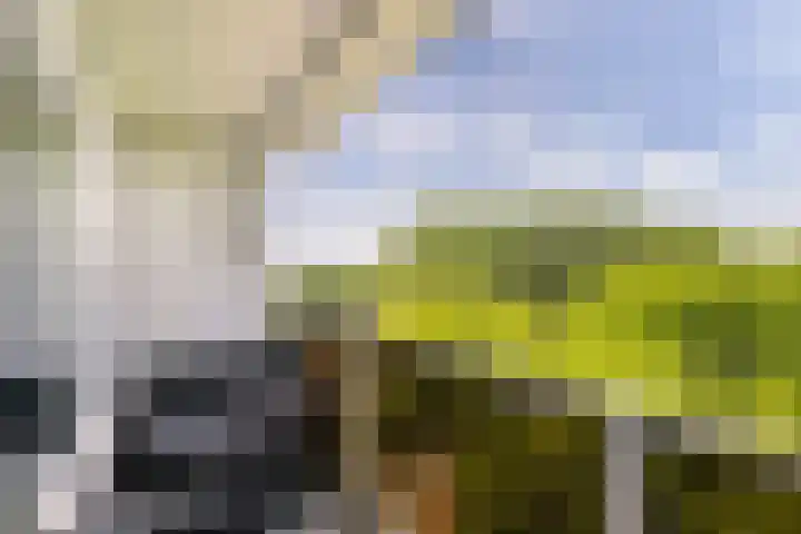 Lepelaarsingel 142 Vlaardingen thumbnail 24