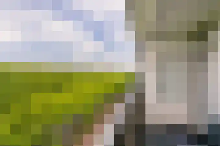 Lepelaarsingel 142 Vlaardingen thumbnail 25
