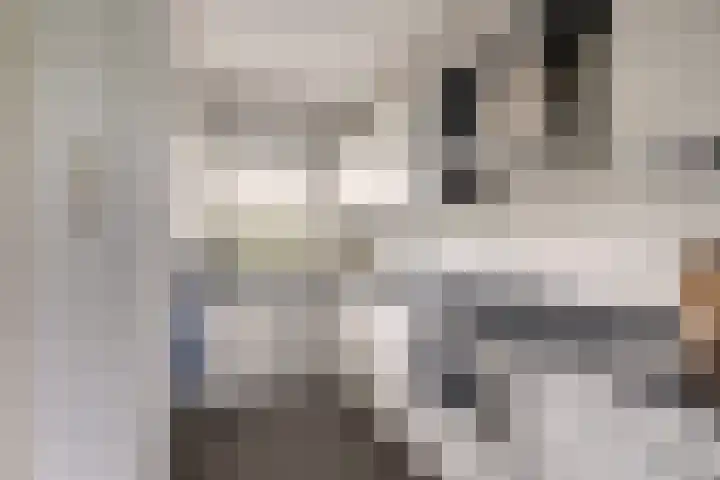 Lepelaarsingel 142 Vlaardingen thumbnail 29